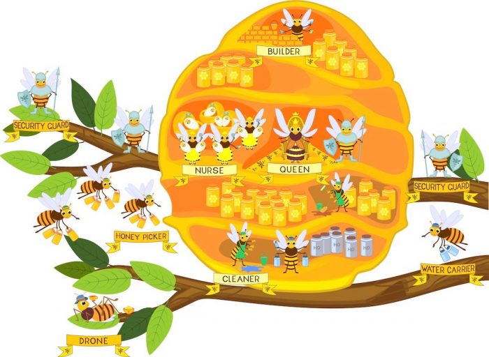 A diagram showing a bee hive with Thorn Pest Solutions Salt Lake City.