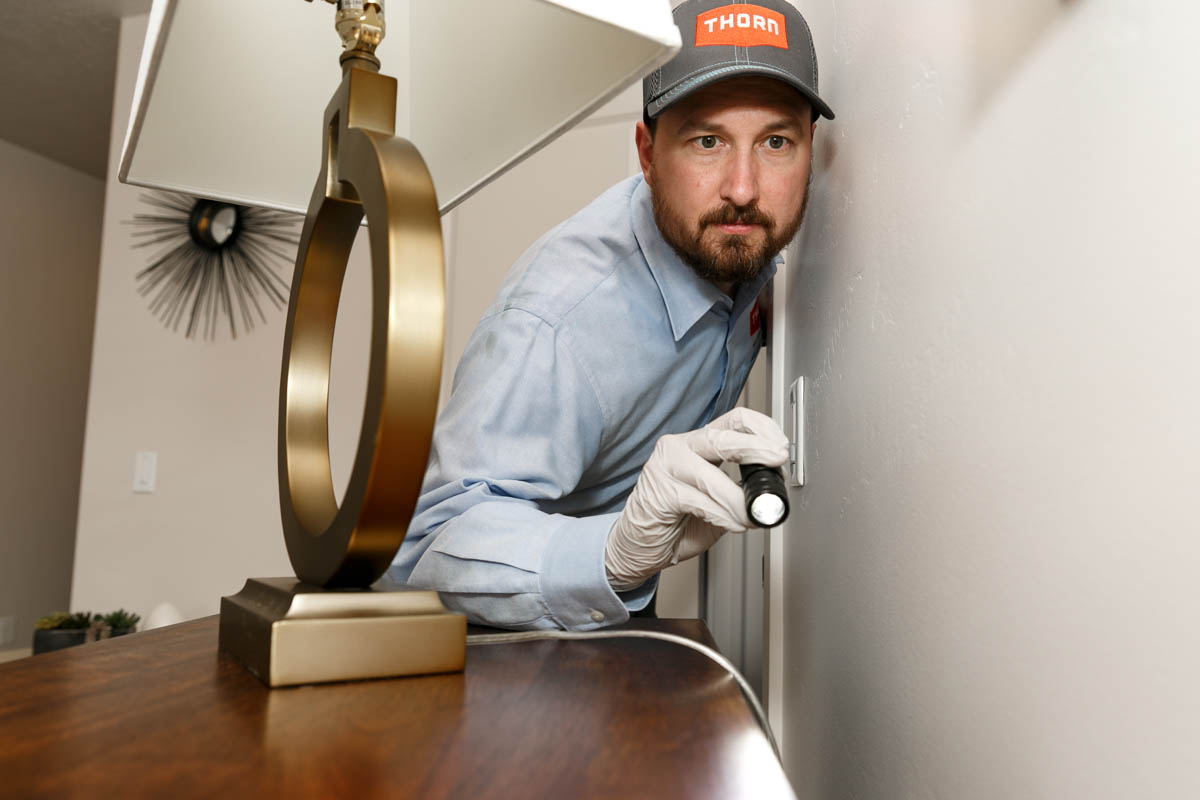Residential pest control experts in Utah - Thorn Pest Solutions.