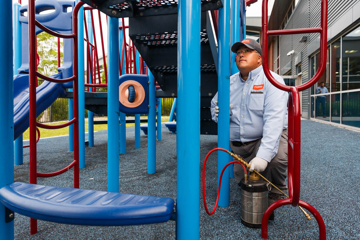 School building pest control in Utah. Thorn Pest Solutions