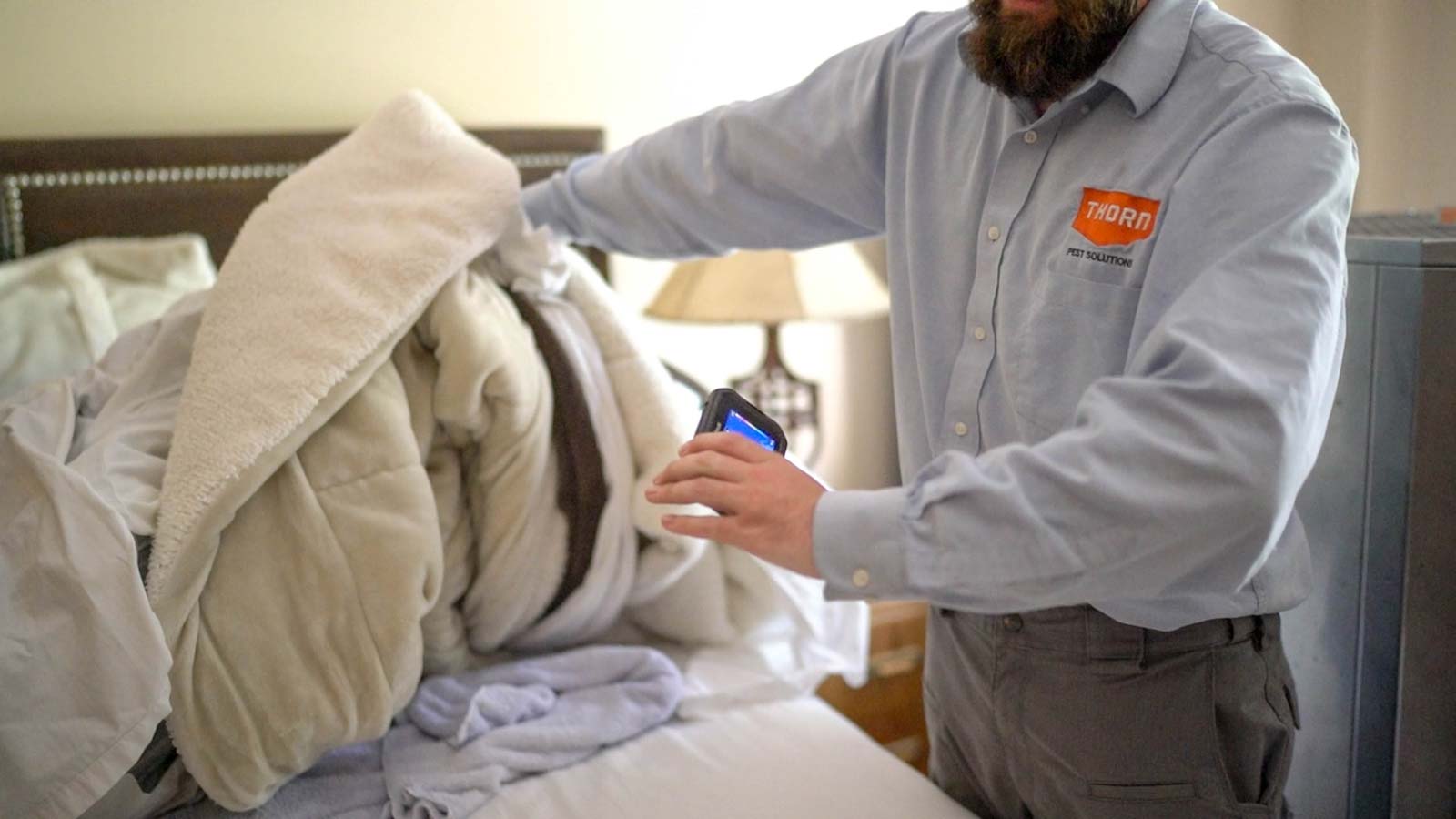 Bed Bug Inspections In Utah Thorn Pest Solutions 