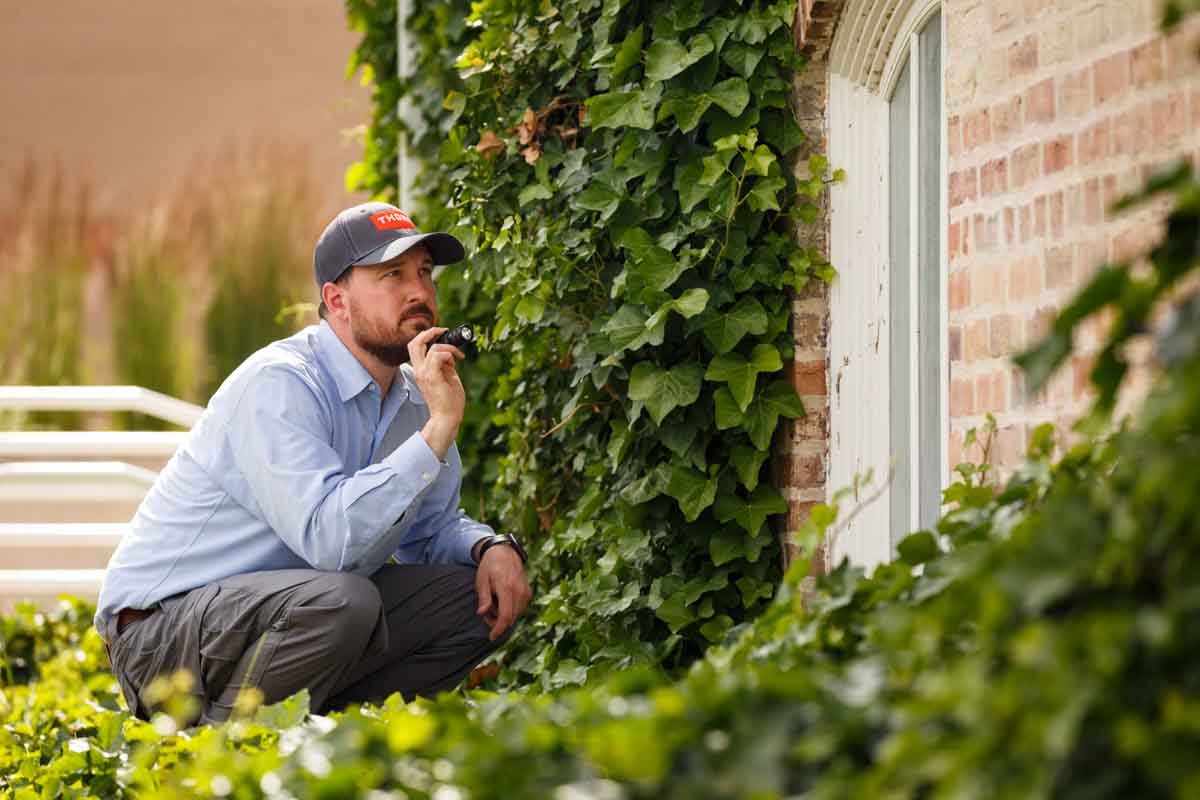 Thorn inspecting plants near houses to help with ant extermination in Utah.
