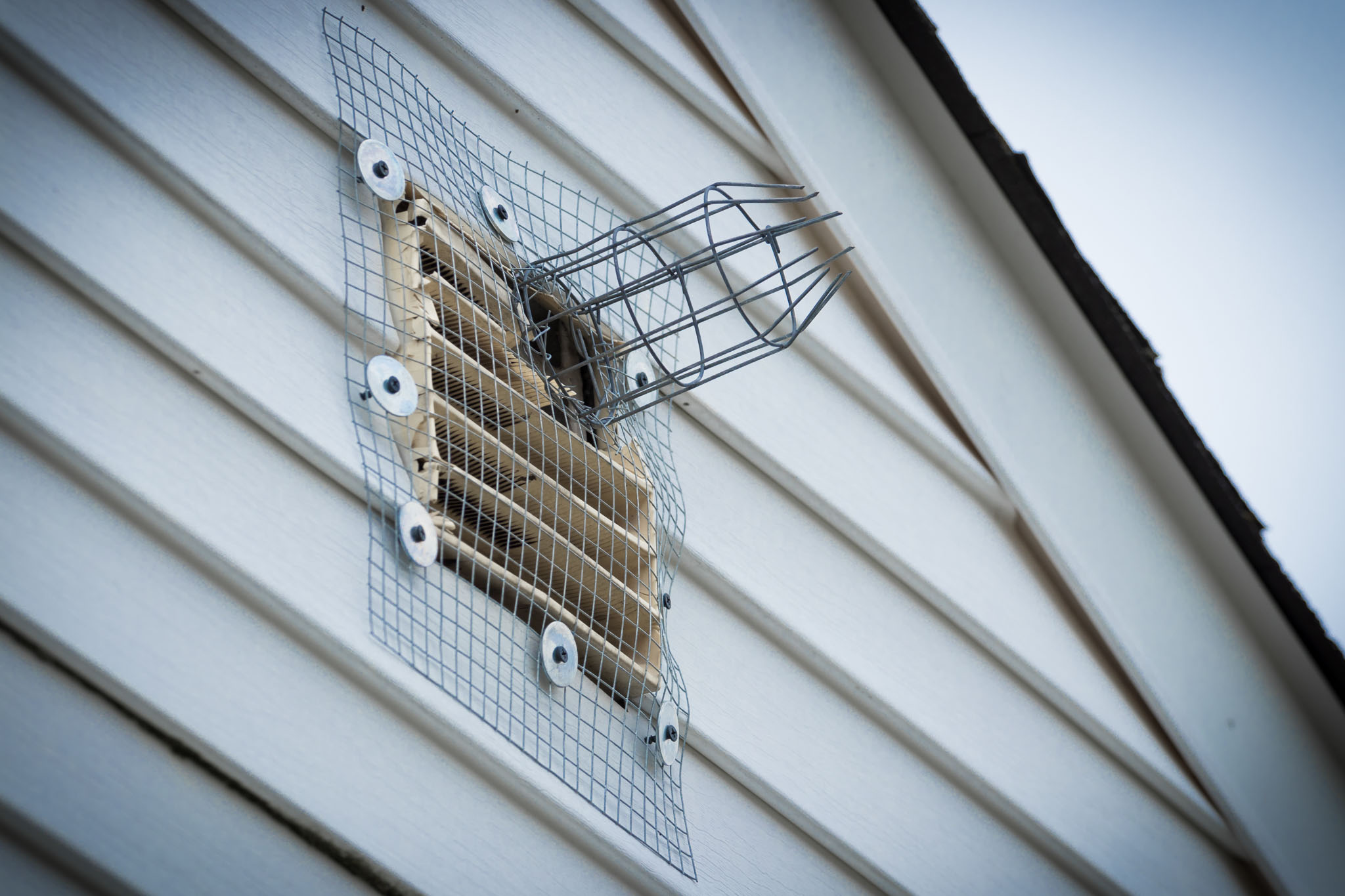 A wire and mesh one-way exclusion device - commonly used for birds and bat removal.