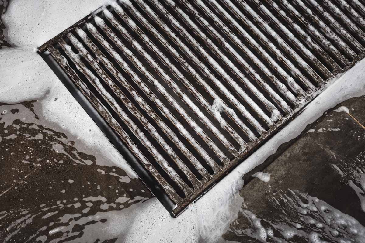 This drain is a great place for pests to breed and hide, but Thorn's drain cleaning services in Ogden / Weber County can help!