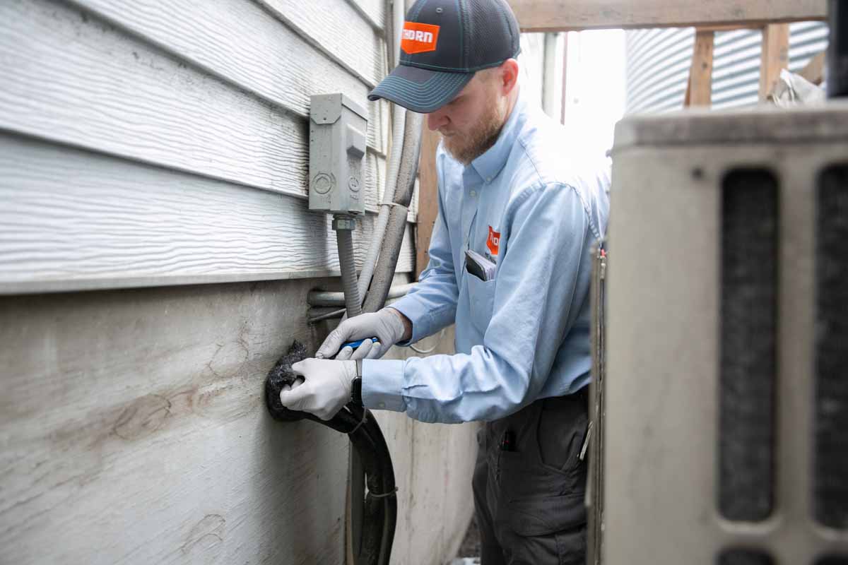 An exclusion pest control professional at Thorn Pest Solutions in Utah.