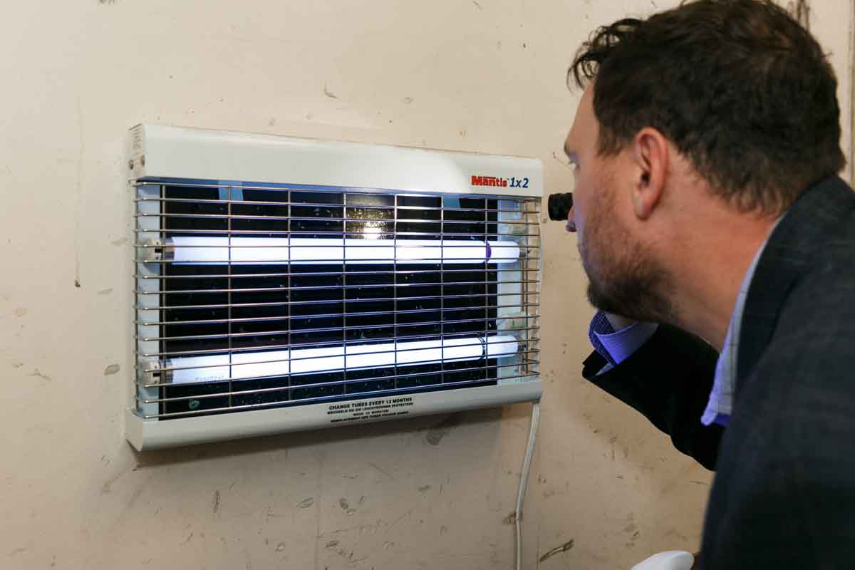 Thorn assessing progress with insect light traps.