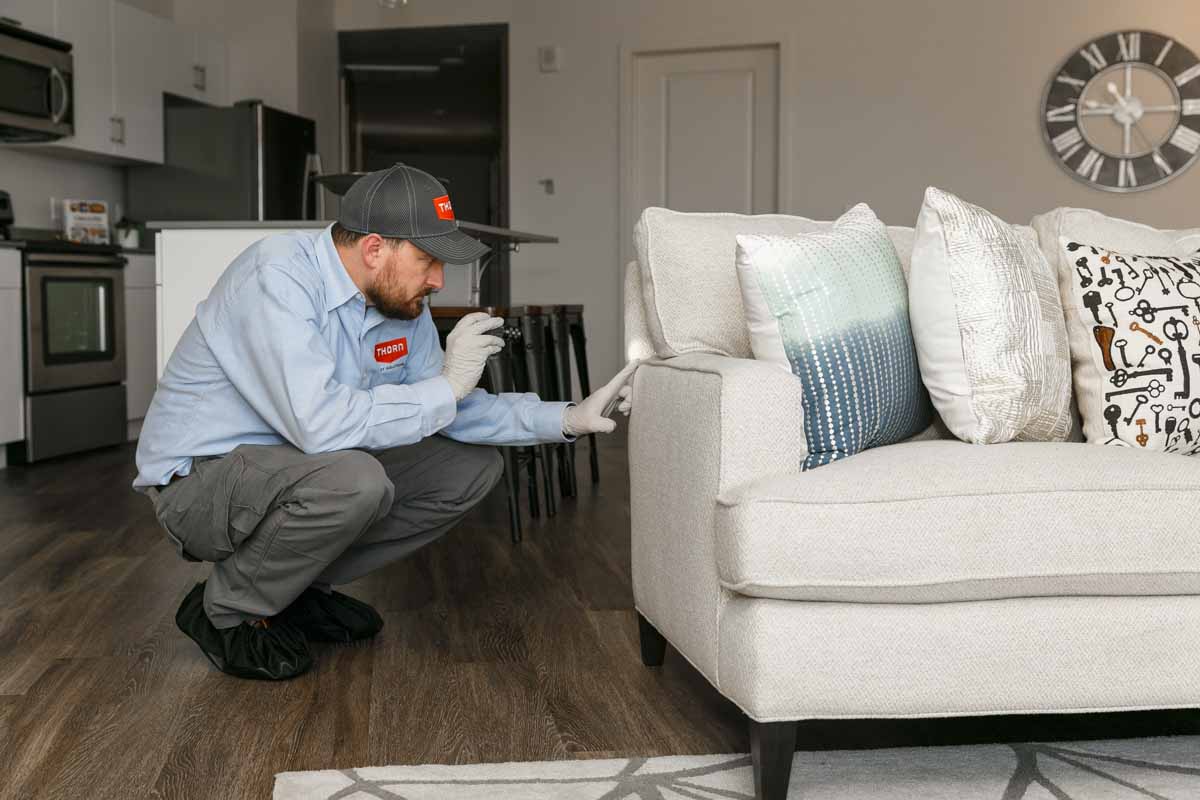 Thorn inspects a home's living room in Utah for pest control.