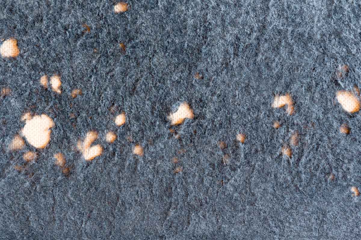 Moth damage on a piece of heirloom fabric - find moth exterminators in Utah.