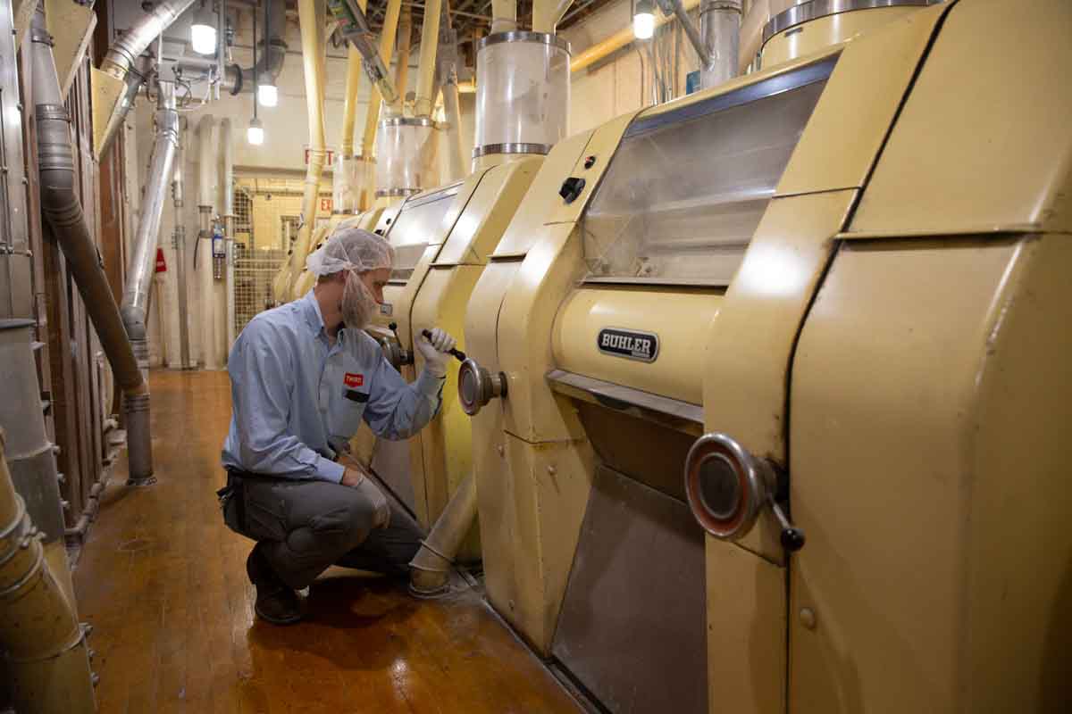 Stored Product Pest Control in Utah. Thorn Pest Solutions