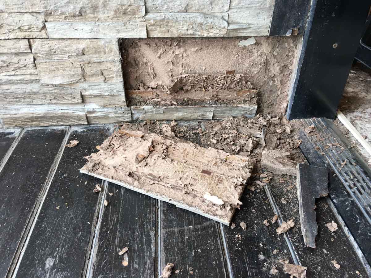 Termite exterminator experts in Utah.