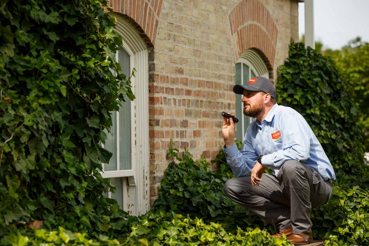 Thorn Pest Solutions carries out a thorough inspection of the building in Utah.