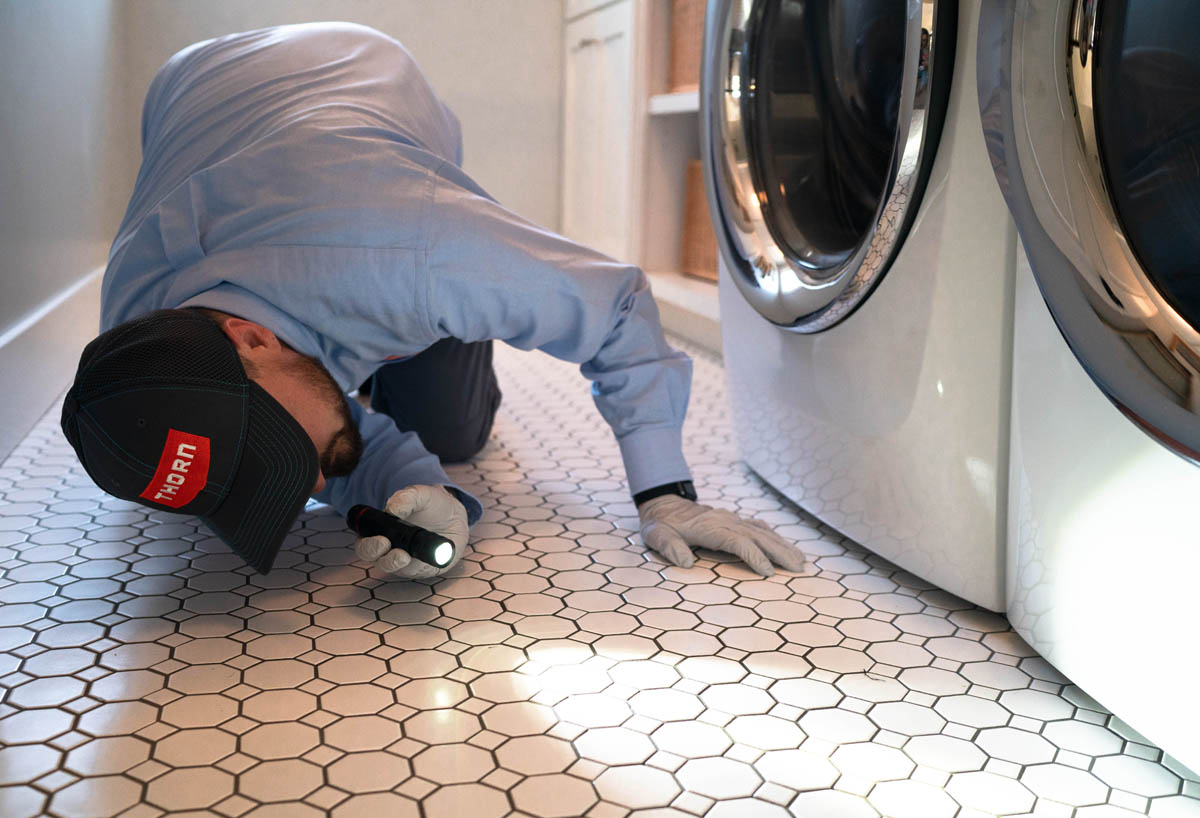 Thorn Pest Solutions ant exterminator inspecting under a washer and dryer.