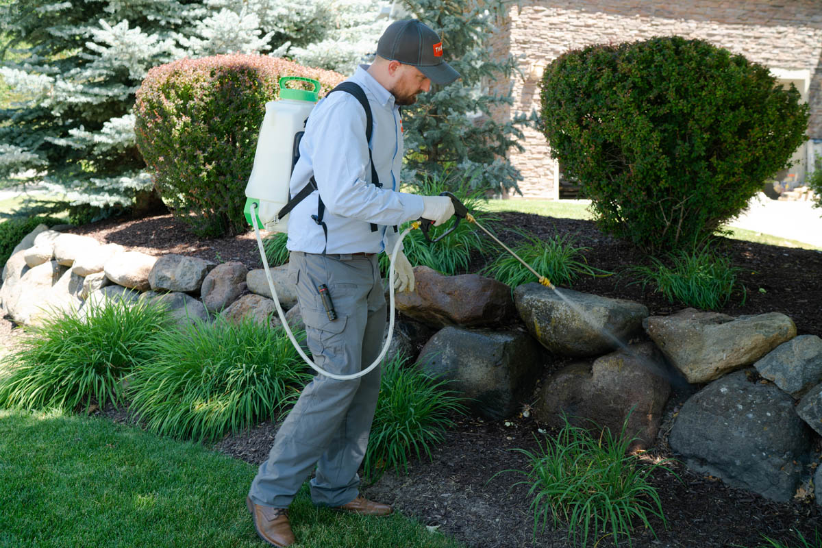 Professional mosquito control in Salt Lake City, UT, from Thorn.