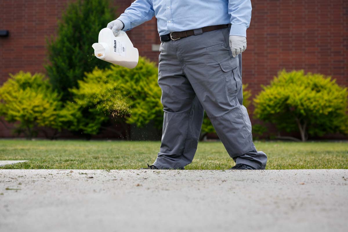 Thorn residential exterminator in Salt Lake City, UT, using top of the line products.
