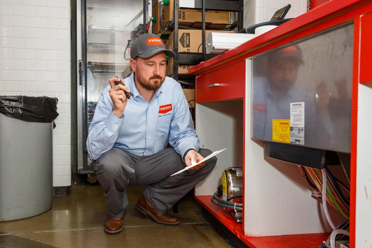 A professional at Thorn inspecting a kitchen in Glendale , UT.